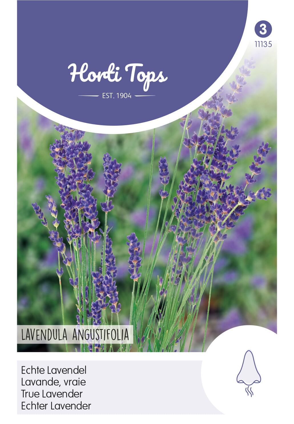 Horti Tops Lavendel Echter Lavendel