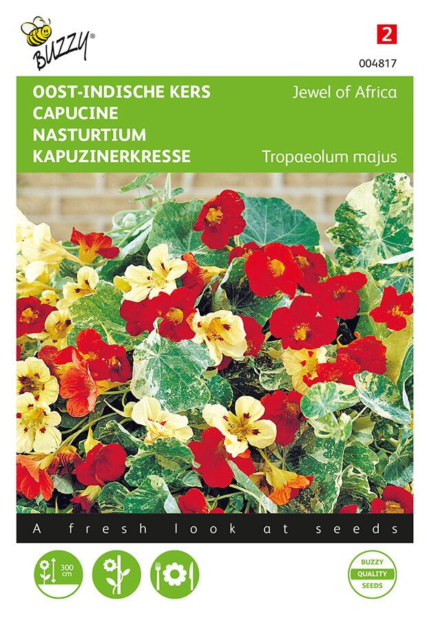 Buzzy Seeds Kapuzinerkresse Jewel of Africa