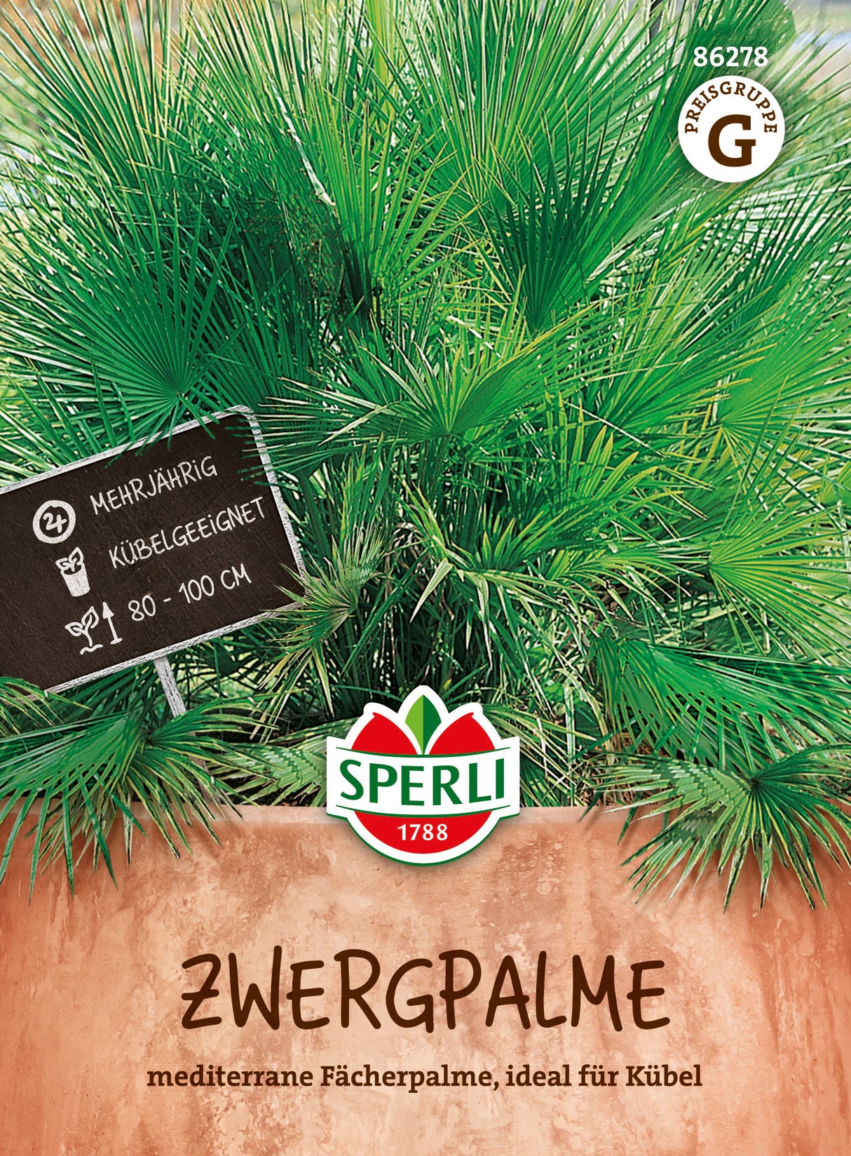 SPERLI Zwergpalme