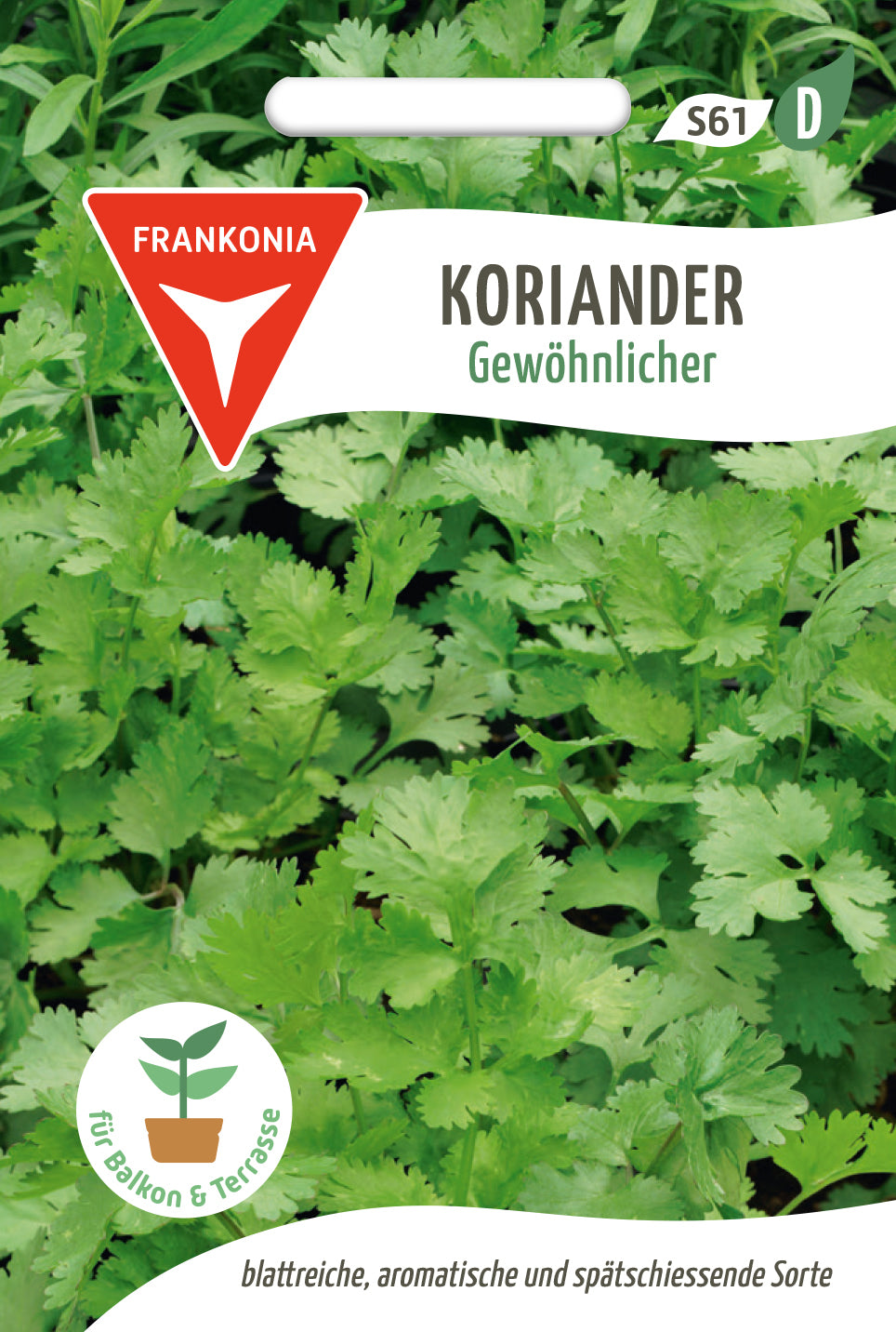 Frankonia Samen Koriander Gewöhnlicher