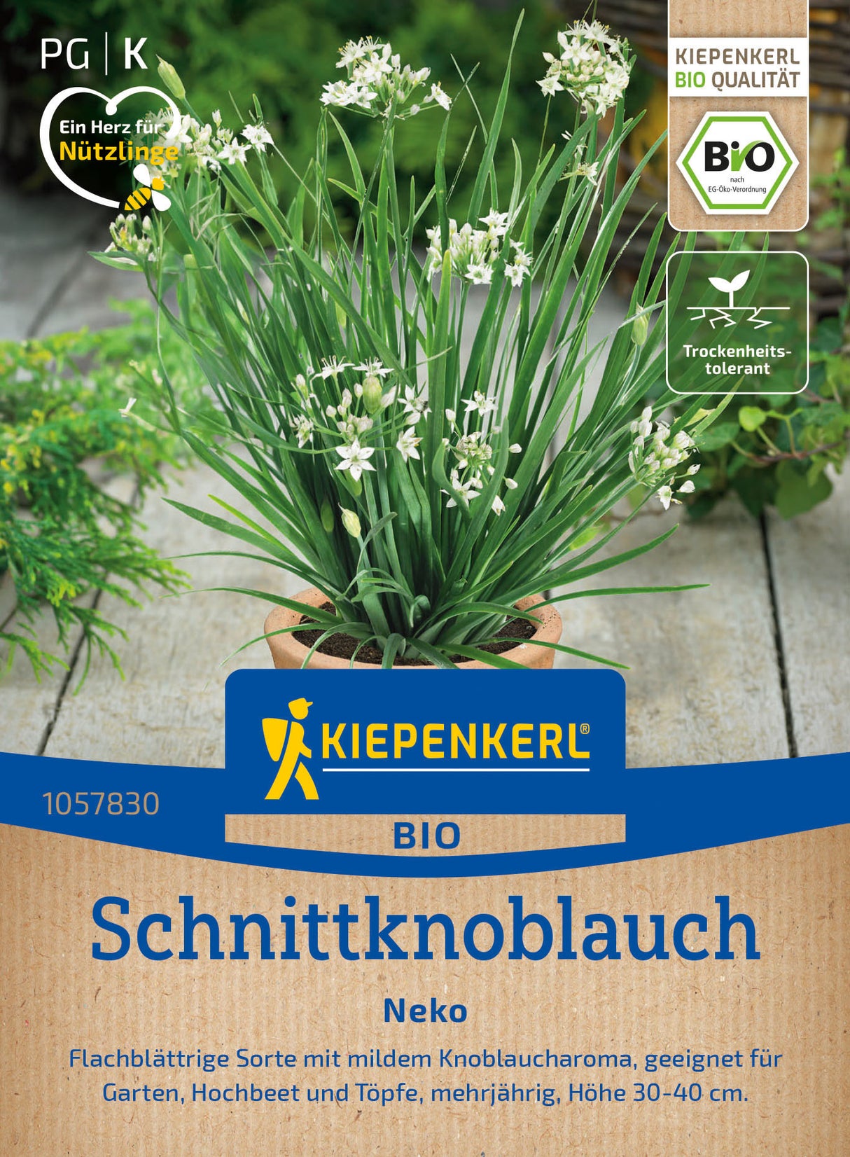 Kiepenkerl Schnittknoblauch Neko