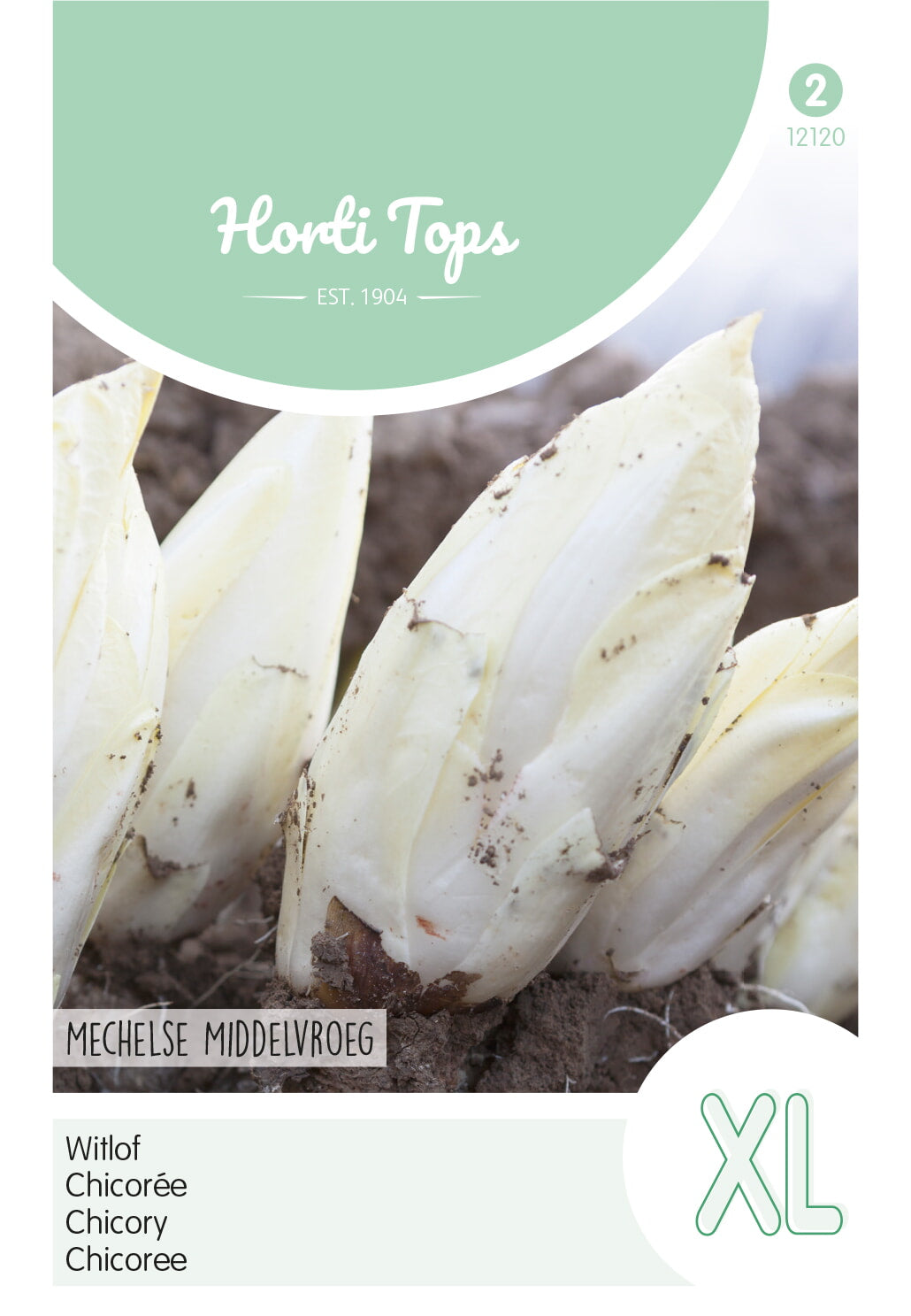 Horti Tops Zichoriensalat Brüsseler Witloof Mechelse