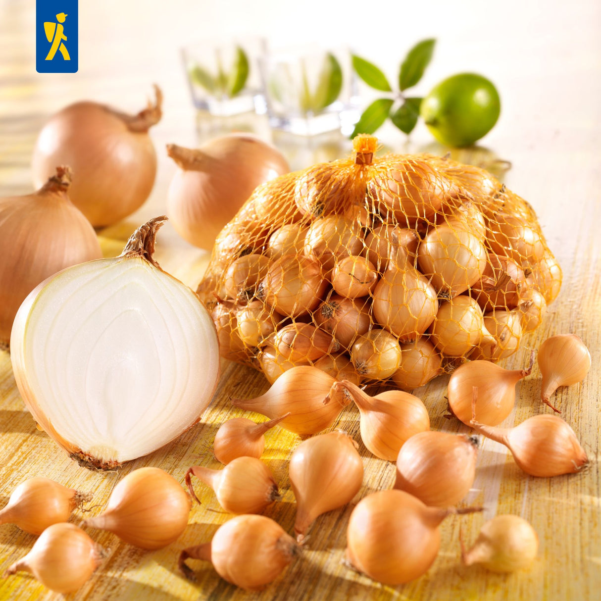 Kiepenkerl Gelbe Wintersteckzwiebel Senshyu Yellow 250 Gramm