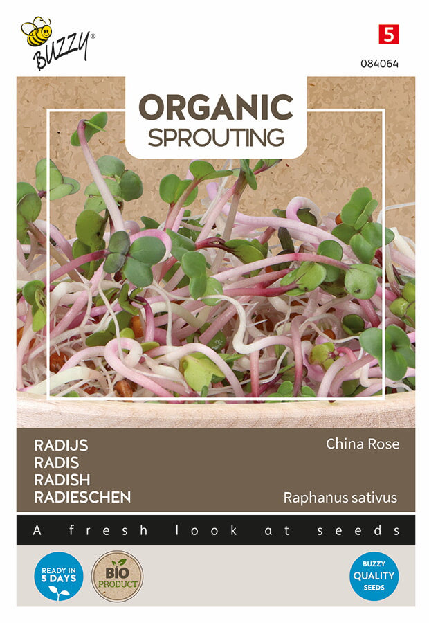 Buzzy Seeds BIO Keimsprossen Radieschen China Rose
