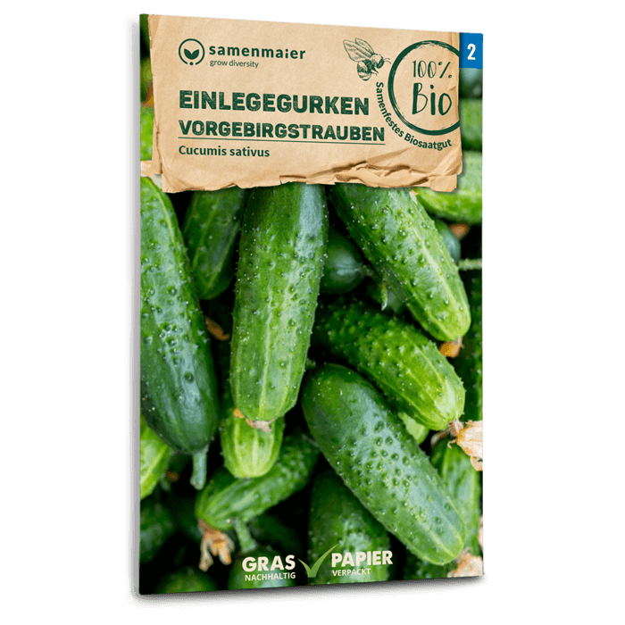 Samen Maier BIO Einlegegurken Vorgebirgstrauben