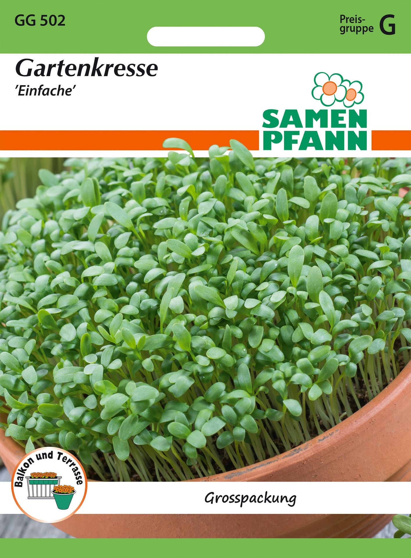 Samen Pfann Gartenkresse Einfache Vorteilspackung
