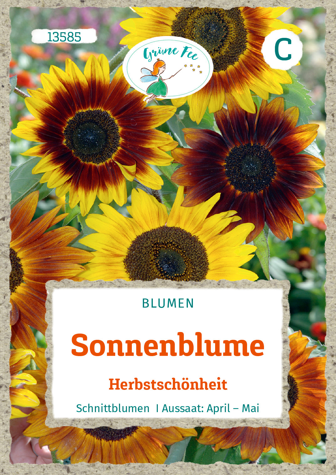 Grüne Fee Sonnenblumen Herbstschönheit Mischung