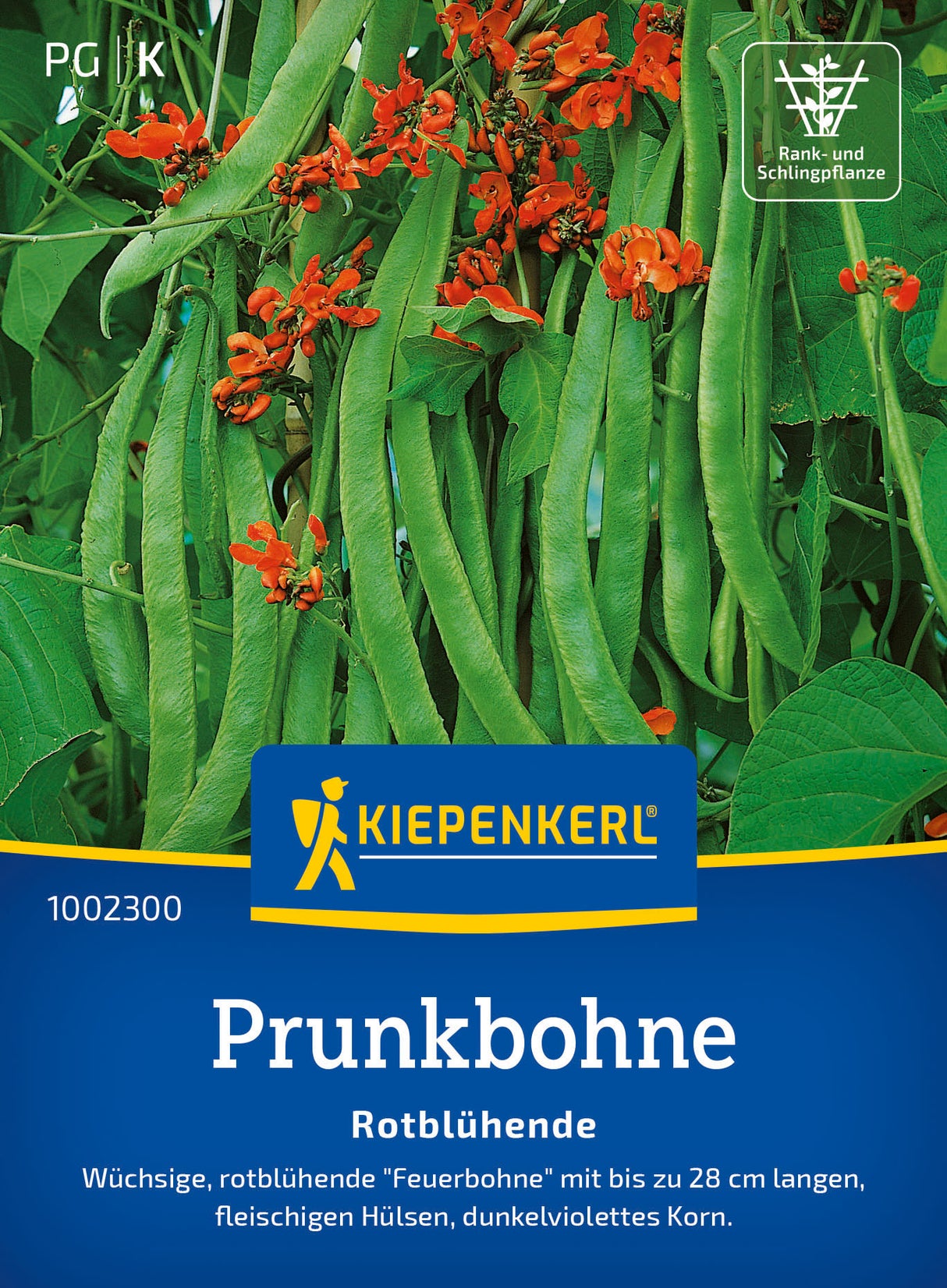 Kiepenkerl Prunkbohnen Rotblühende