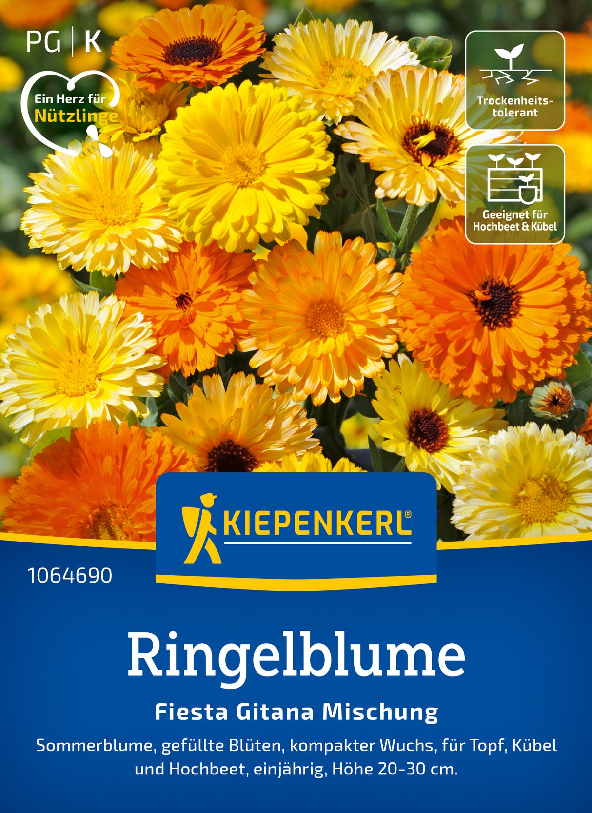 Kiepenkerl Ringelblumen Fiesta Gitana Mischung