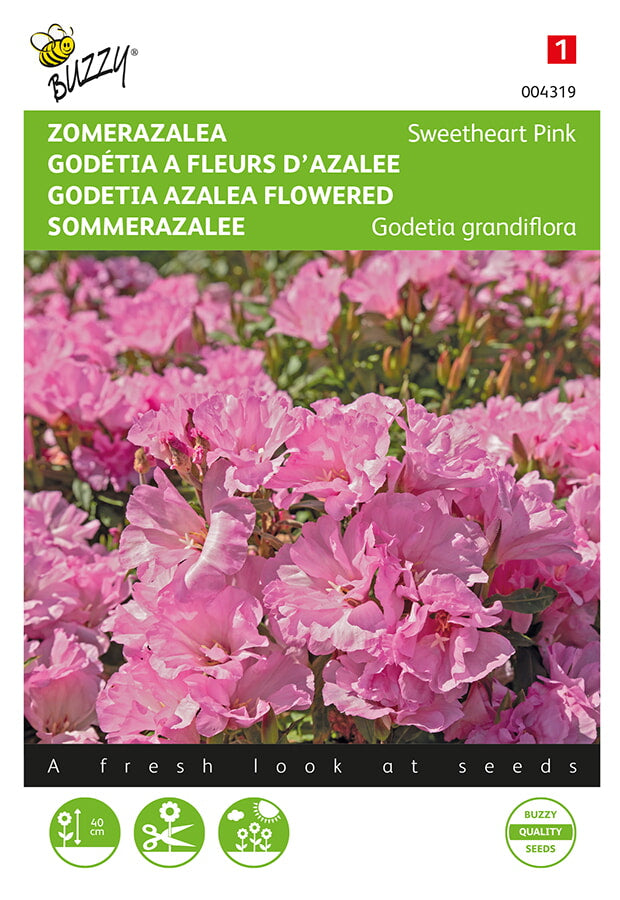 Buzzy Seeds Sommerazaleen Sweetheart Pink