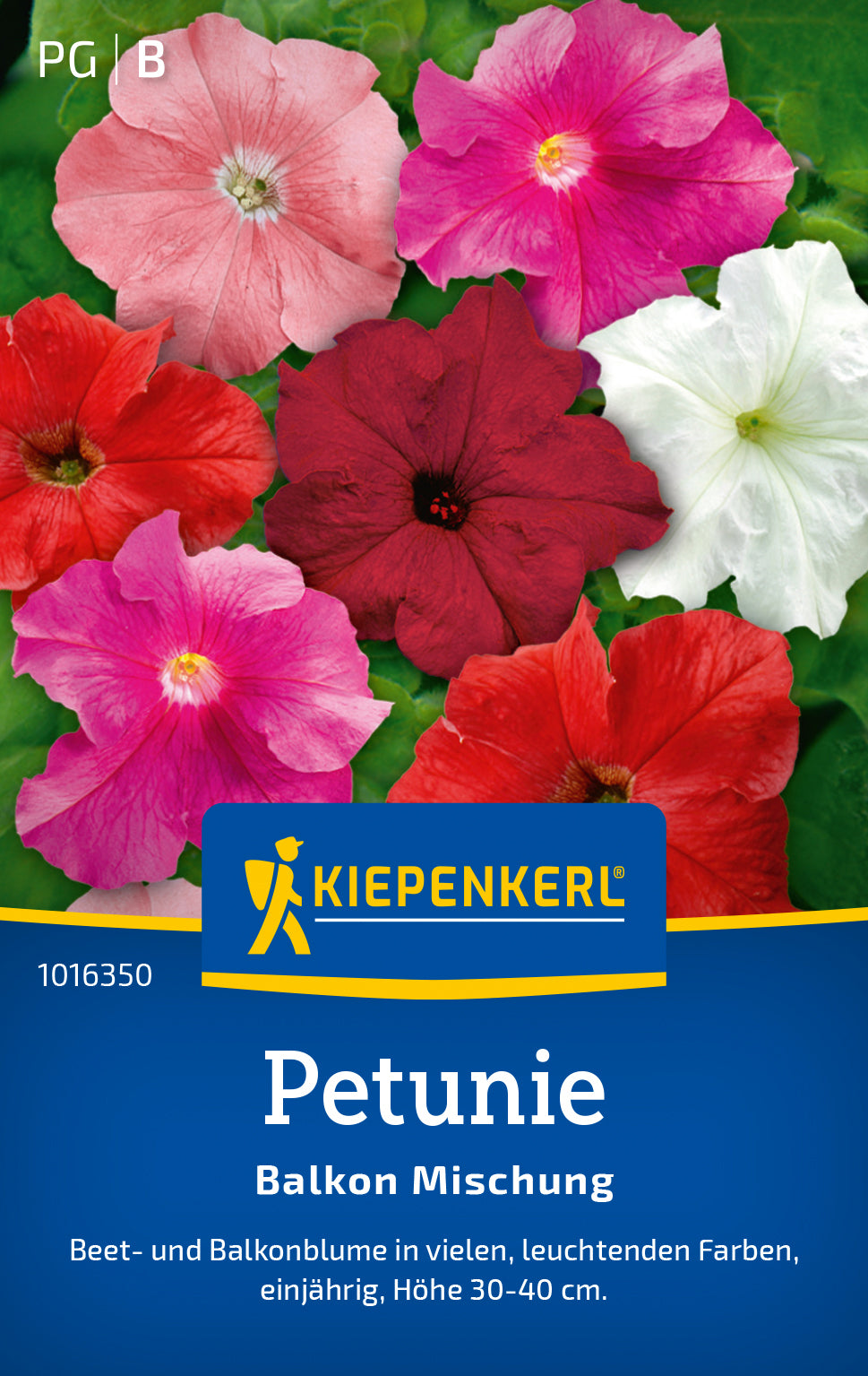 Kiepenkerl Petunien Balkon Mischung