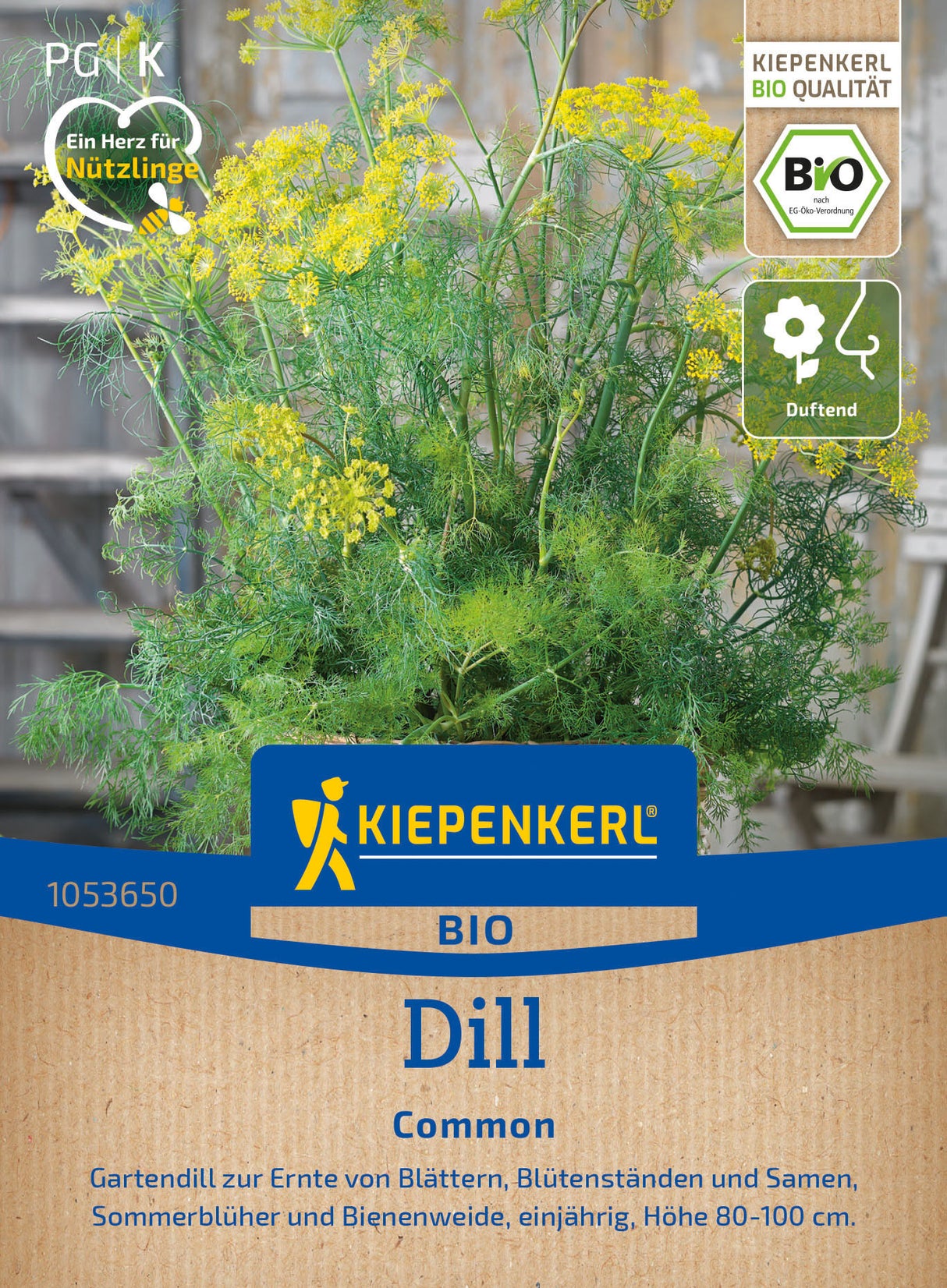 Kiepenkerl Dill Einjähriger