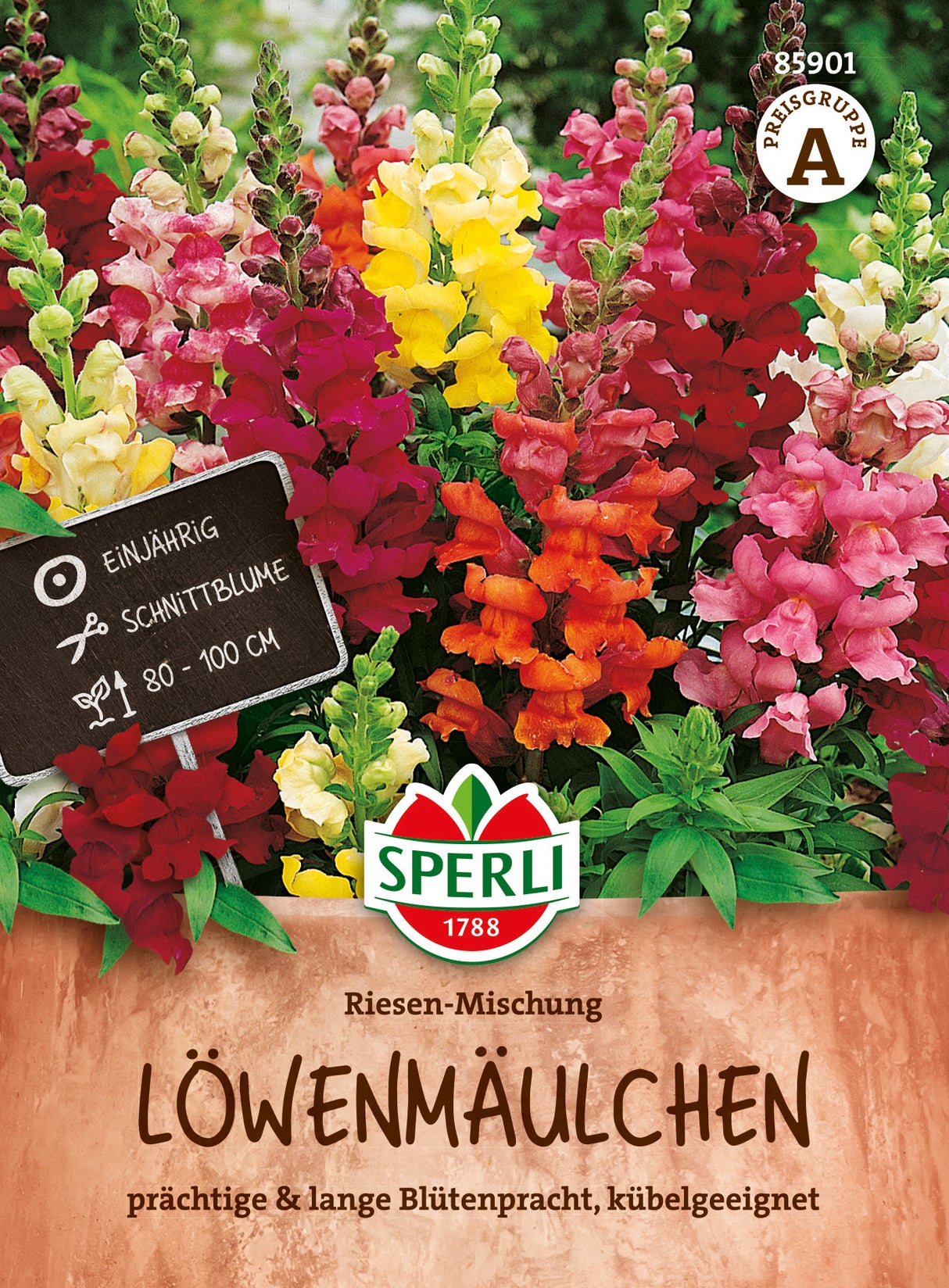 SPERLI Löwenmäulchen Riesen-Mischung