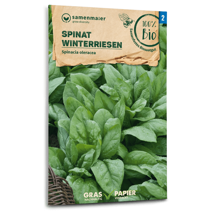 Samen Maier BIO Spinat Winterriesen