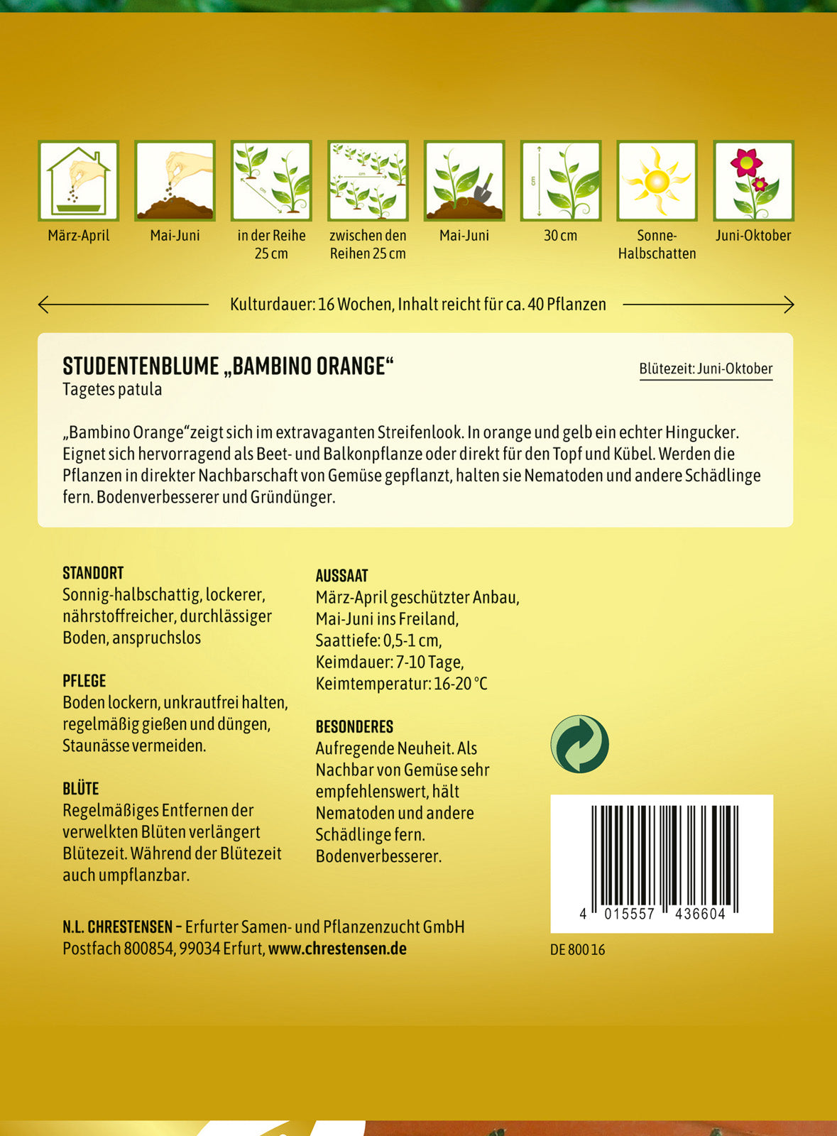 N.L. Chrestensen Studentenblume Bambino Orange