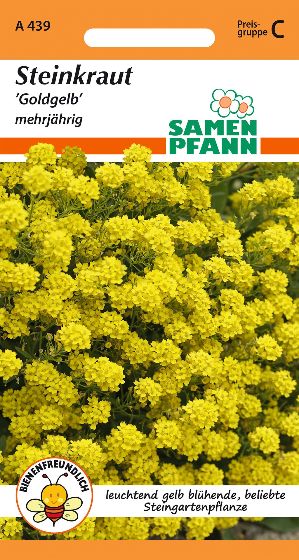 Samen Pfann Steinkraut Goldgelb mehrjährig