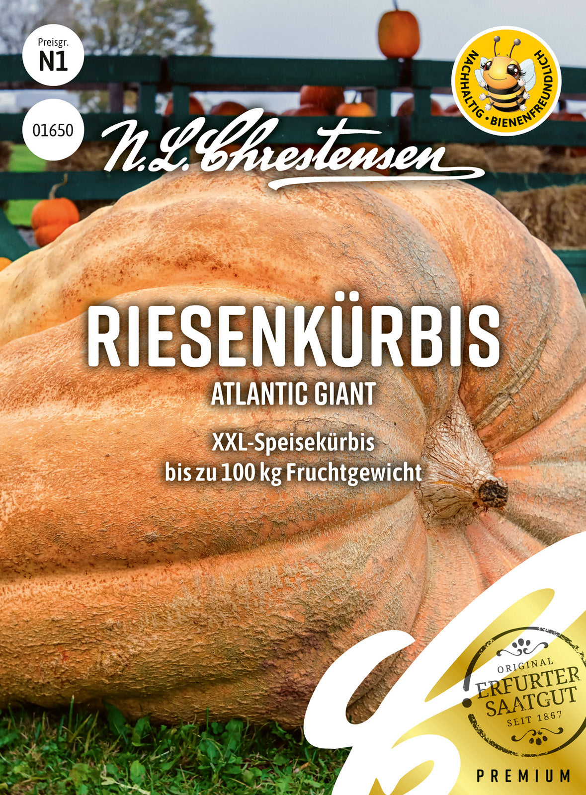 N.L. Chrestensen Riesenkürbis Atlantic Giant