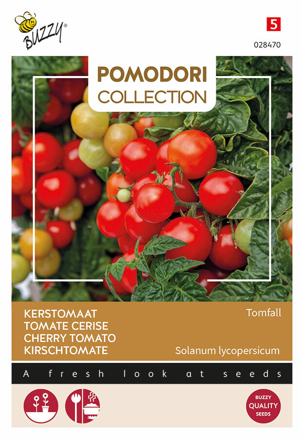Buzzy Seeds Kirschtomate Tomfall