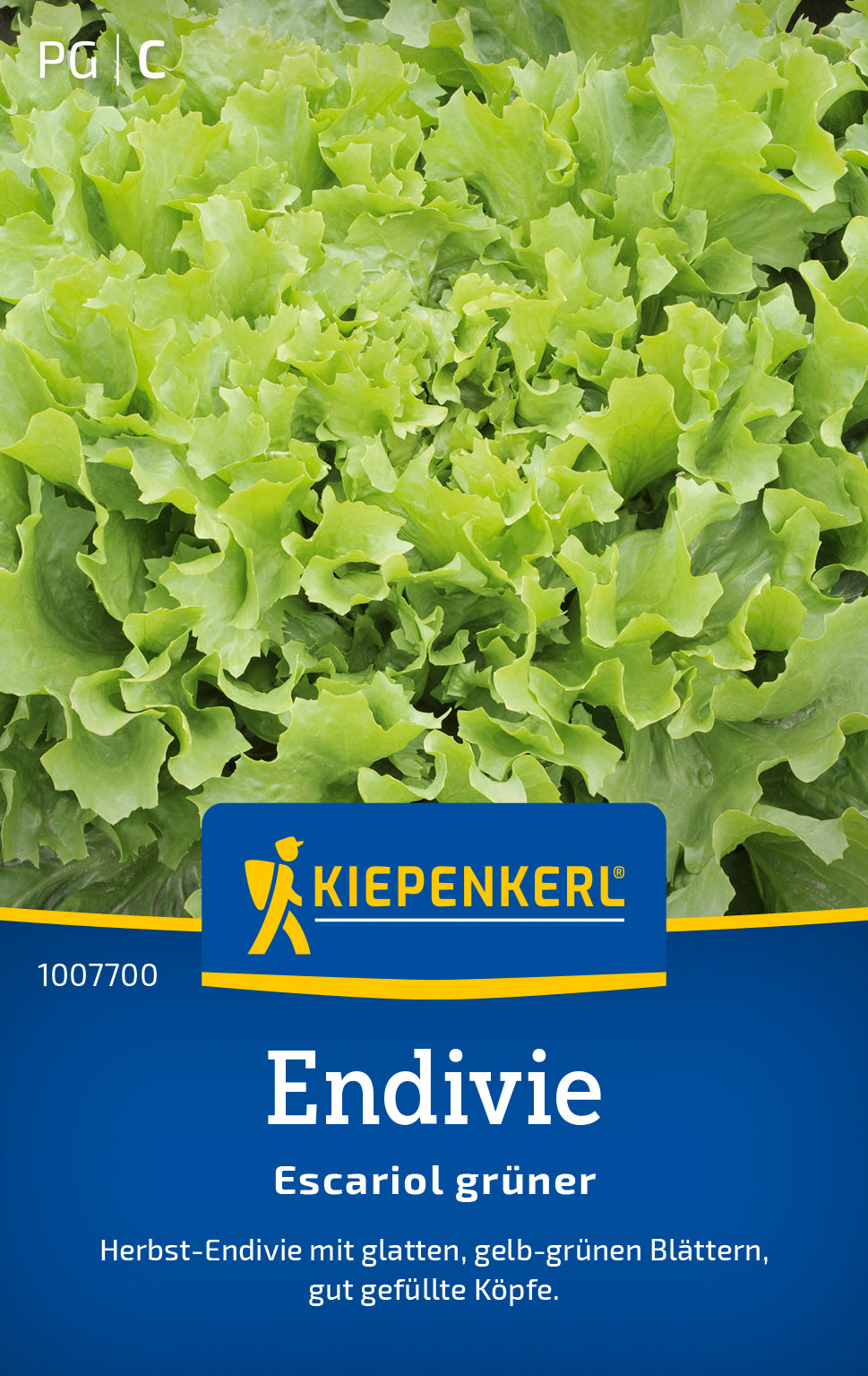 Kiepenkerl Endiviensalat Escariol grüner