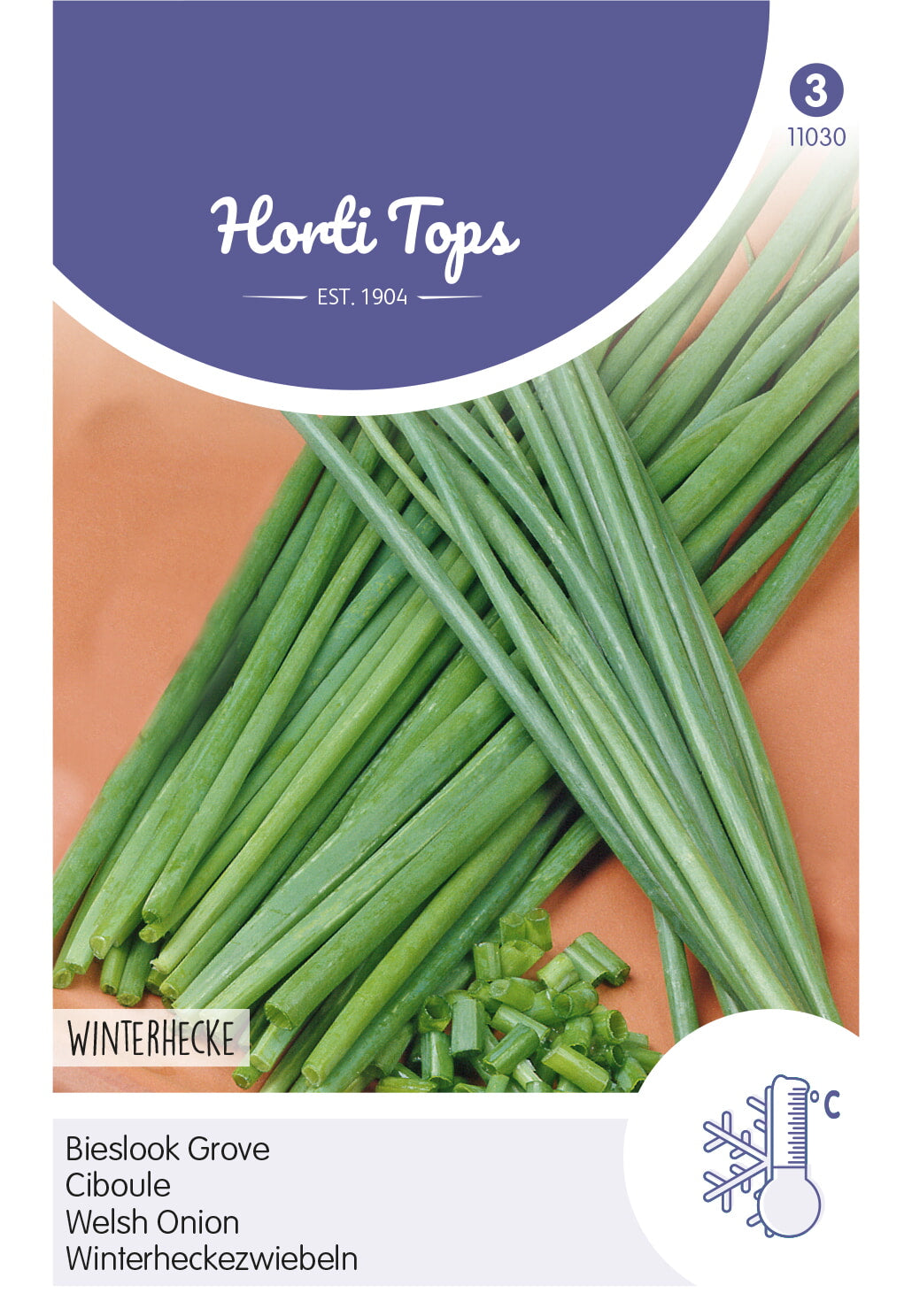 Horti Tops Winterhecke Zwiebeln