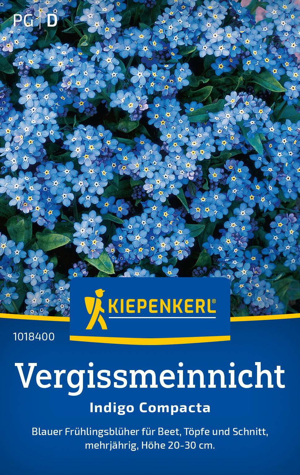Kiepenkerl Vergissmeinnicht Indigo Compacta
