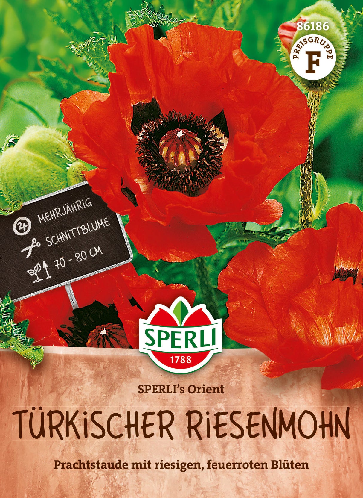 SPERLI Türkischer Riesenmohn SPERLI's Orient