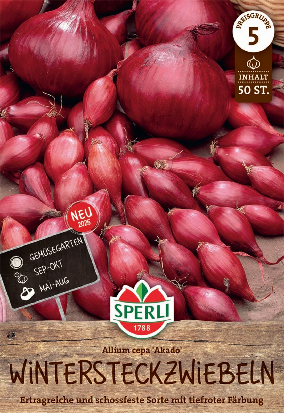 SPERLI Rote Wintersteckzwiebel Akado 50 Stück