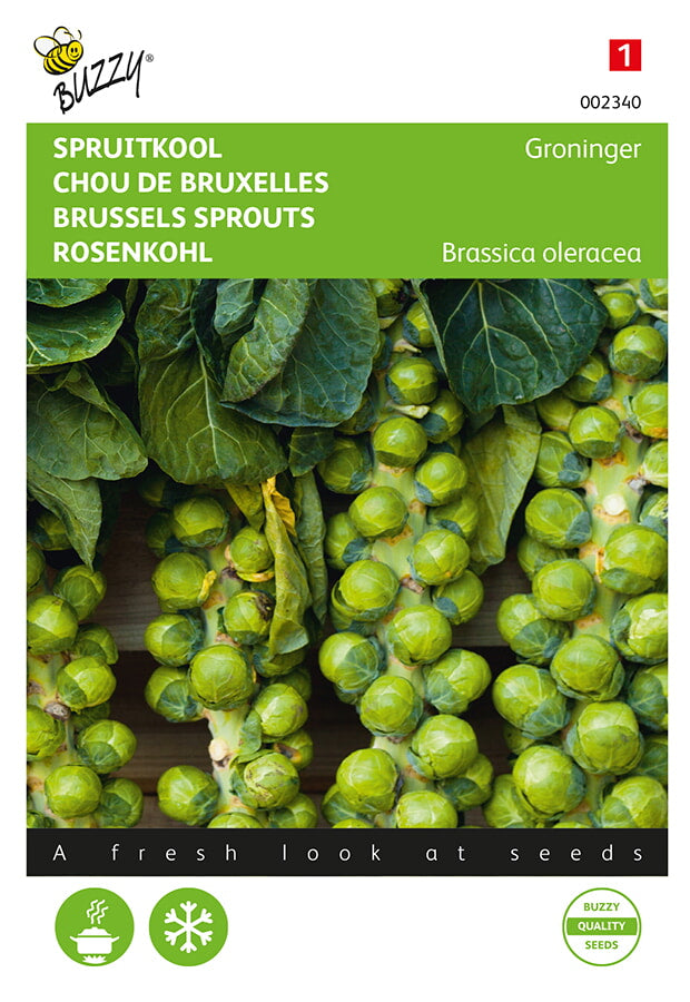 Buzzy Seeds Rosenkohl Groninger
