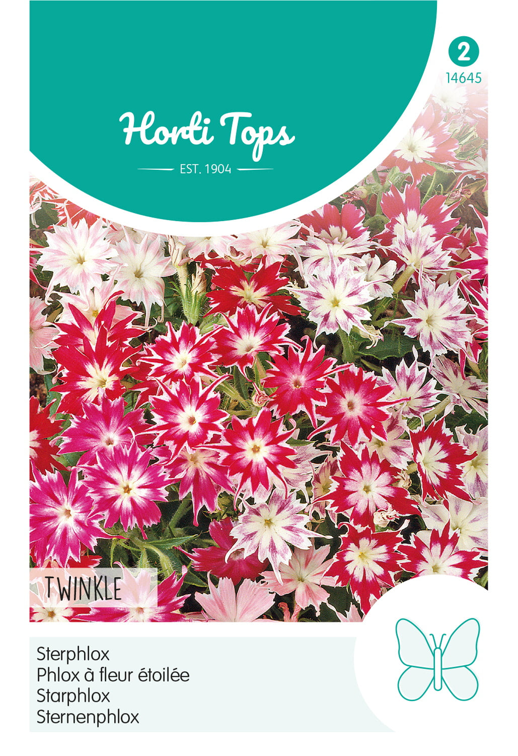 Horti Tops Phlox Cuspidata Sternzauber Mischung