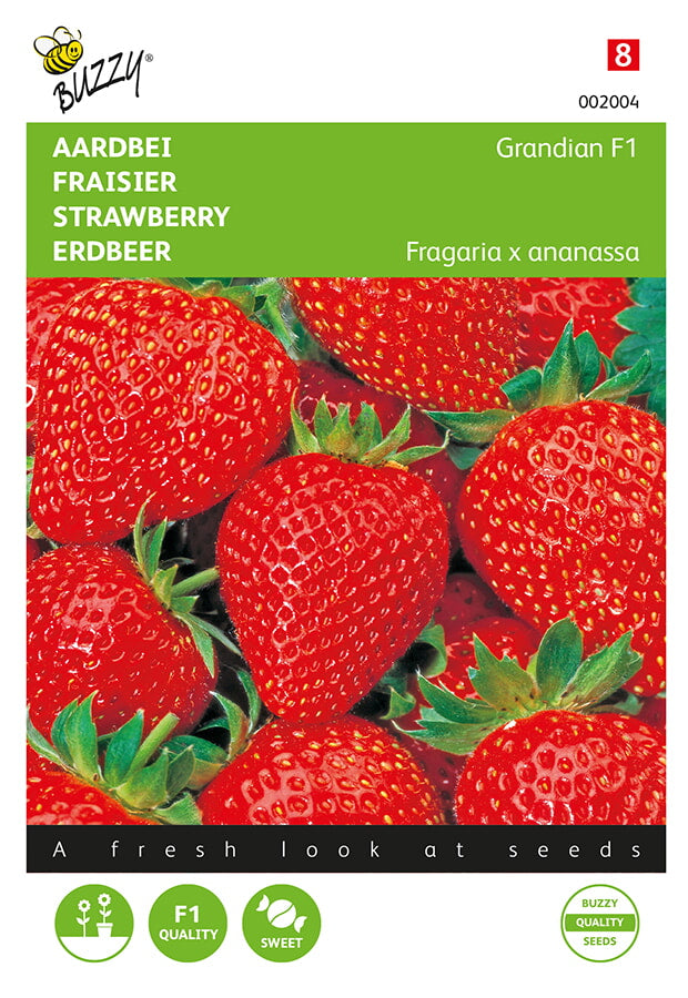 Buzzy Seeds Erdbeeren Grandian F1