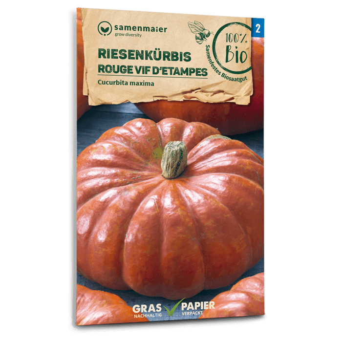 Samen Maier BIO Kürbis Rouge vif d'Etampes
