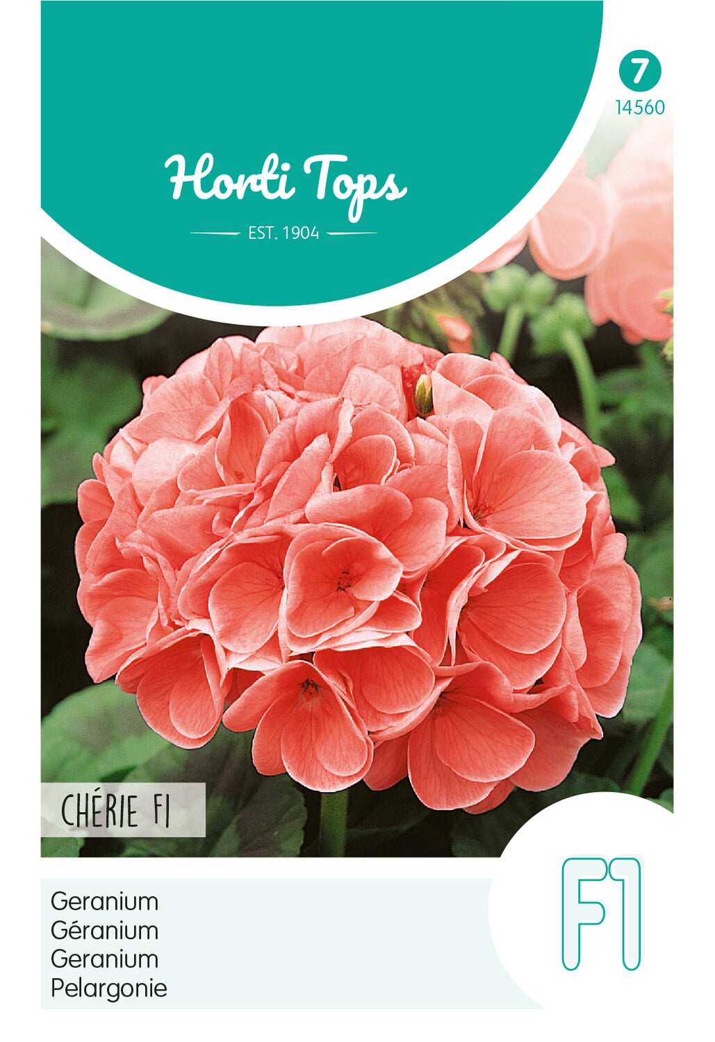 Horti Tops Pelargonie Chérie Salmon