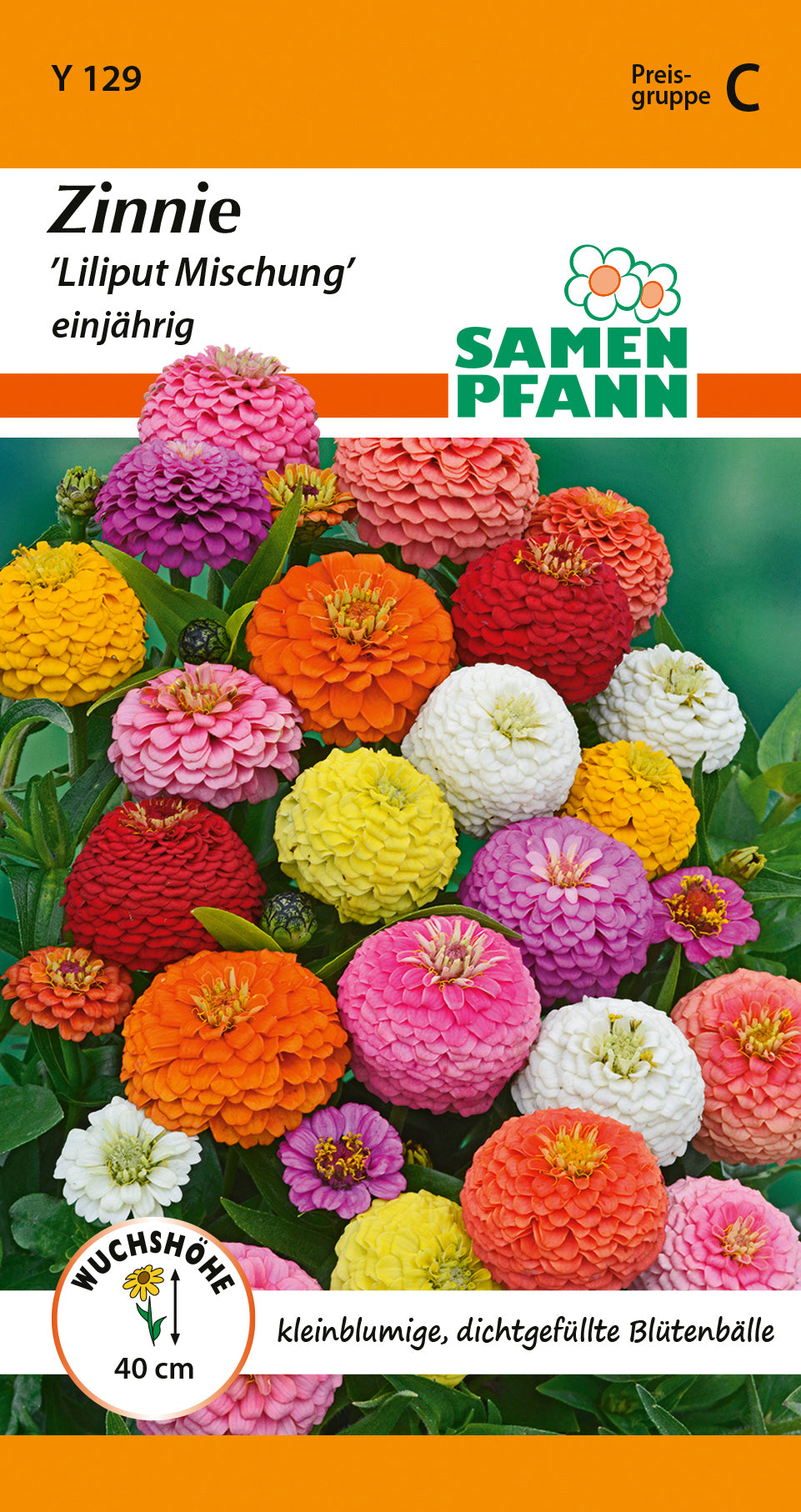 Samen Pfann Zinnie Liliput Mischung einjährig