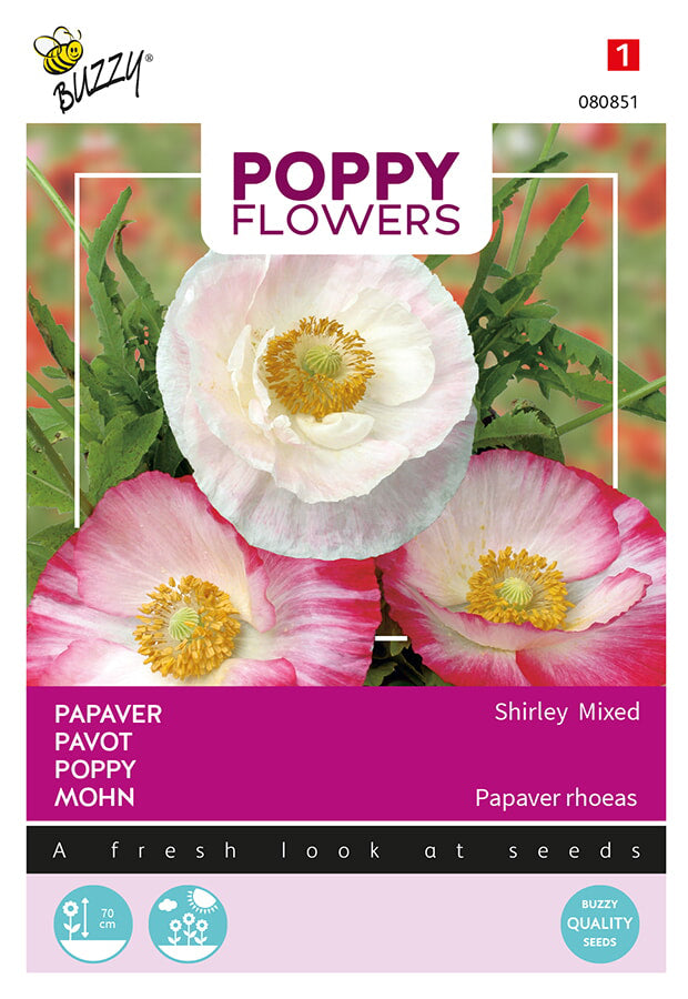 Buzzy Seeds Mohn Shirley Mischung