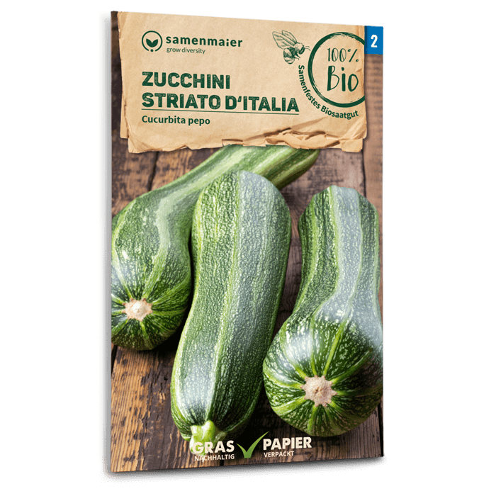 Samen Maier BIO Zucchini Striato d'Italia