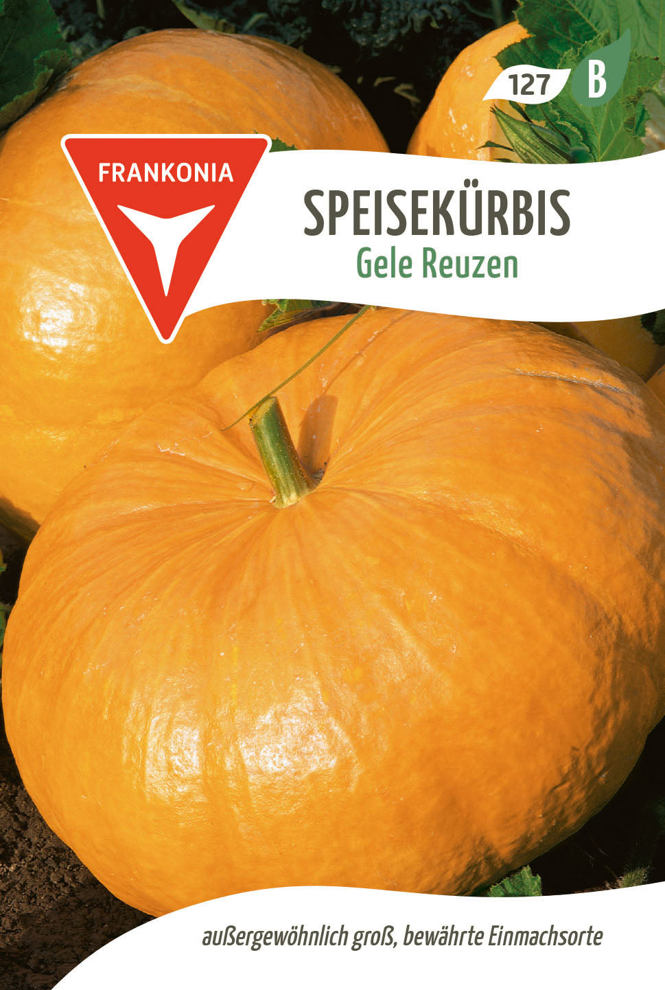 Frankonia Samen Kürbis Gele Reuzen