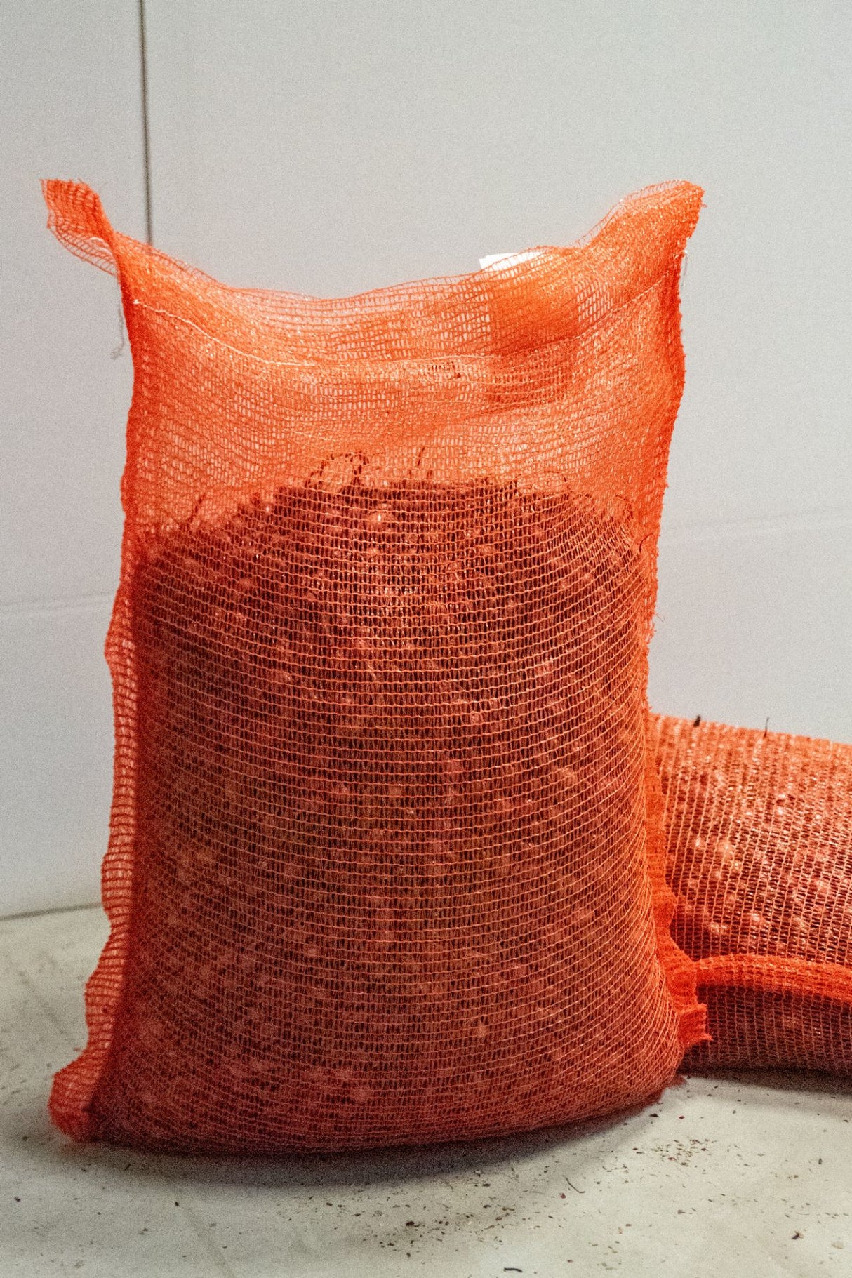 Kiepenkerl Rote Steckzwiebel Piroska 25 kg