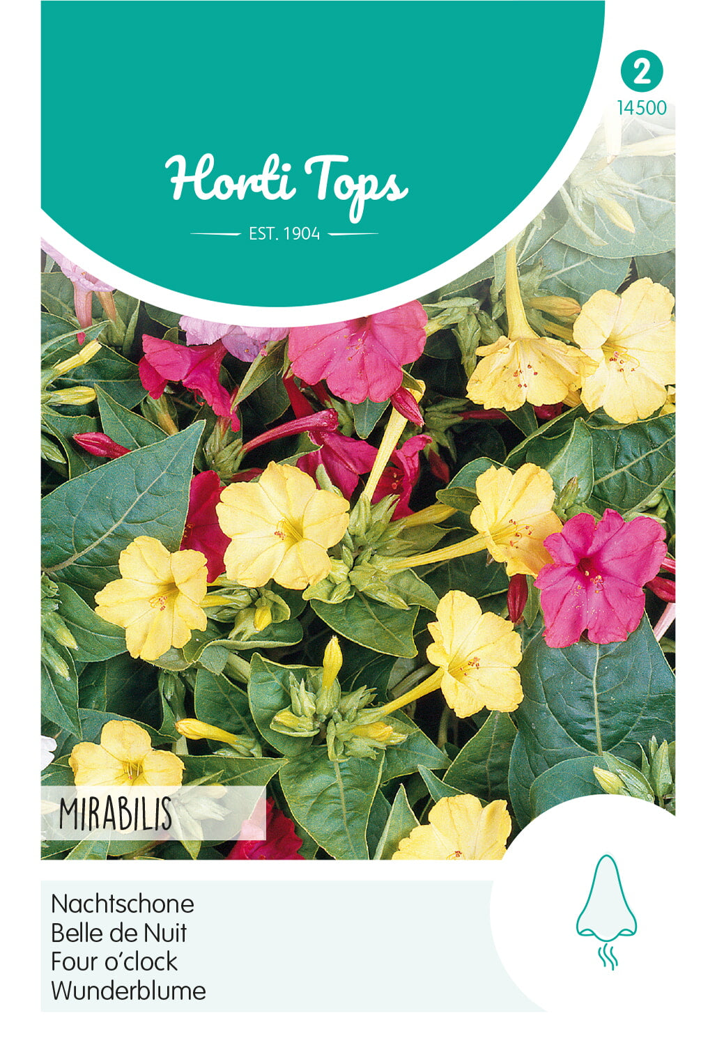 Horti Tops Wunderblume Jalapa Mischung, Nachtschöne