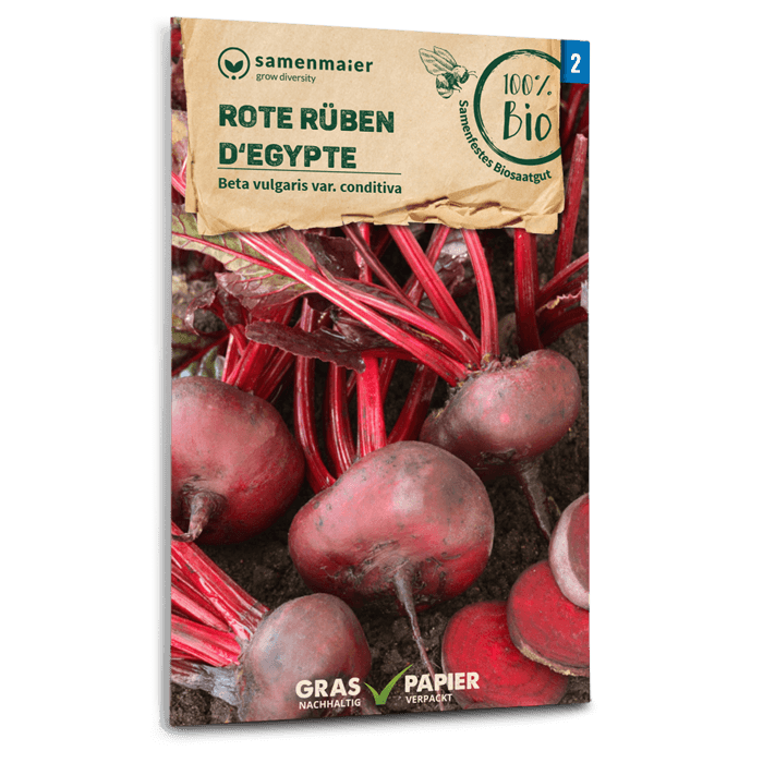 Samen Maier BIO Rote Rüben D'Egypte