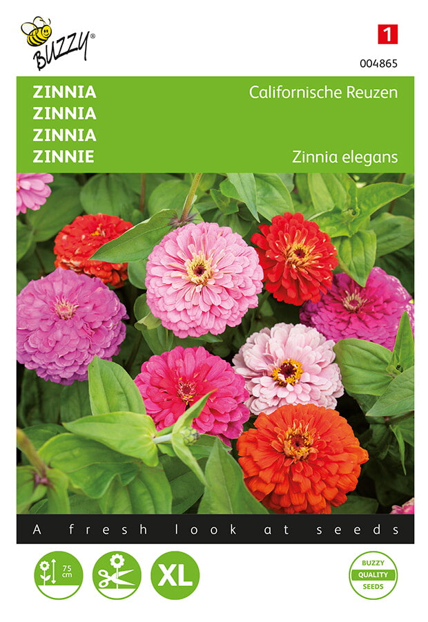 Buzzy Seeds Zinnien Kalifornische Riesne Mischung