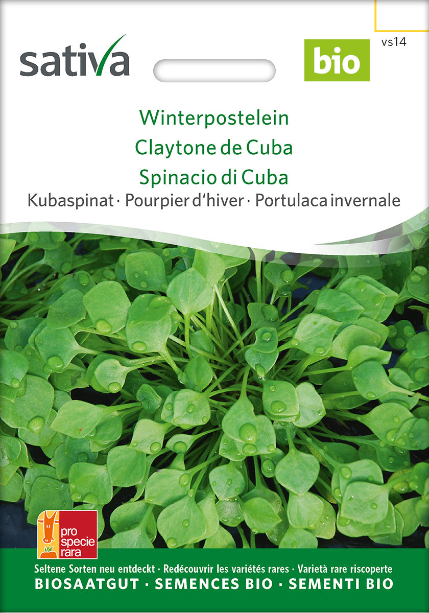 Sativa Kubaspinat Winterpostelein
