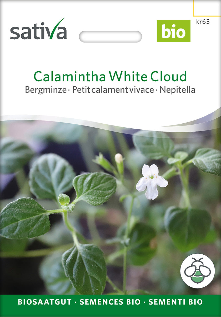 Sativa Bergminze Calamintha White Cloud
