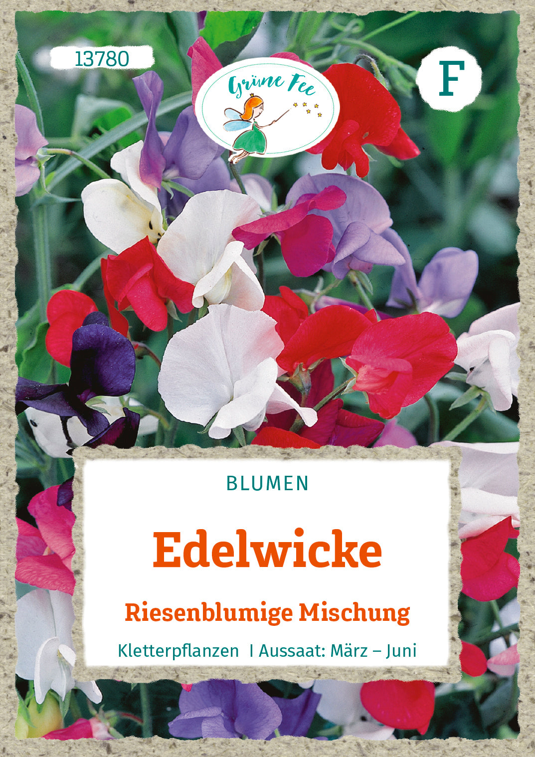 Grüne Fee Edelwicke Riesen-Prachtmischung