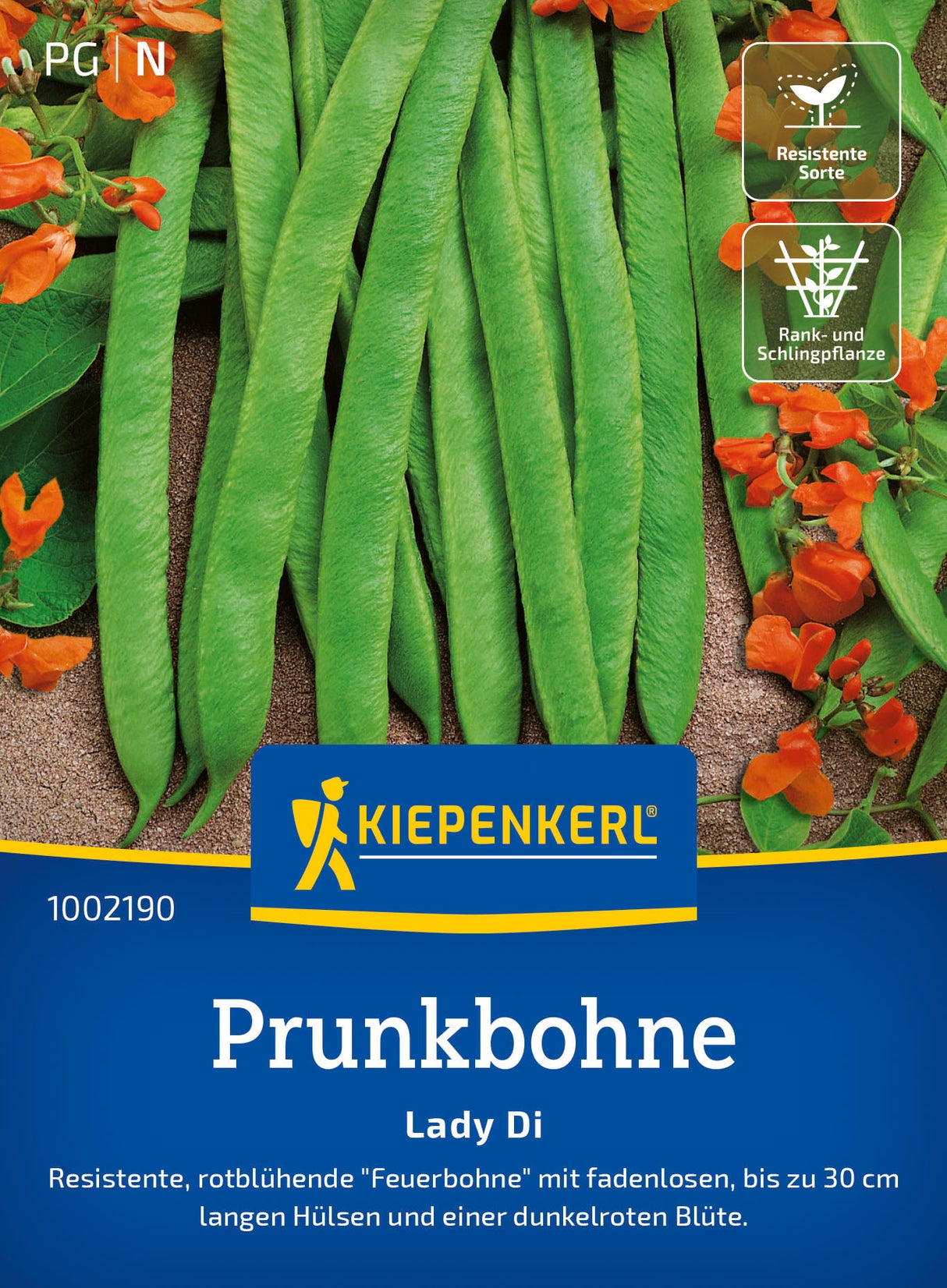 Kiepenkerl Prunkbohnen Lady Di