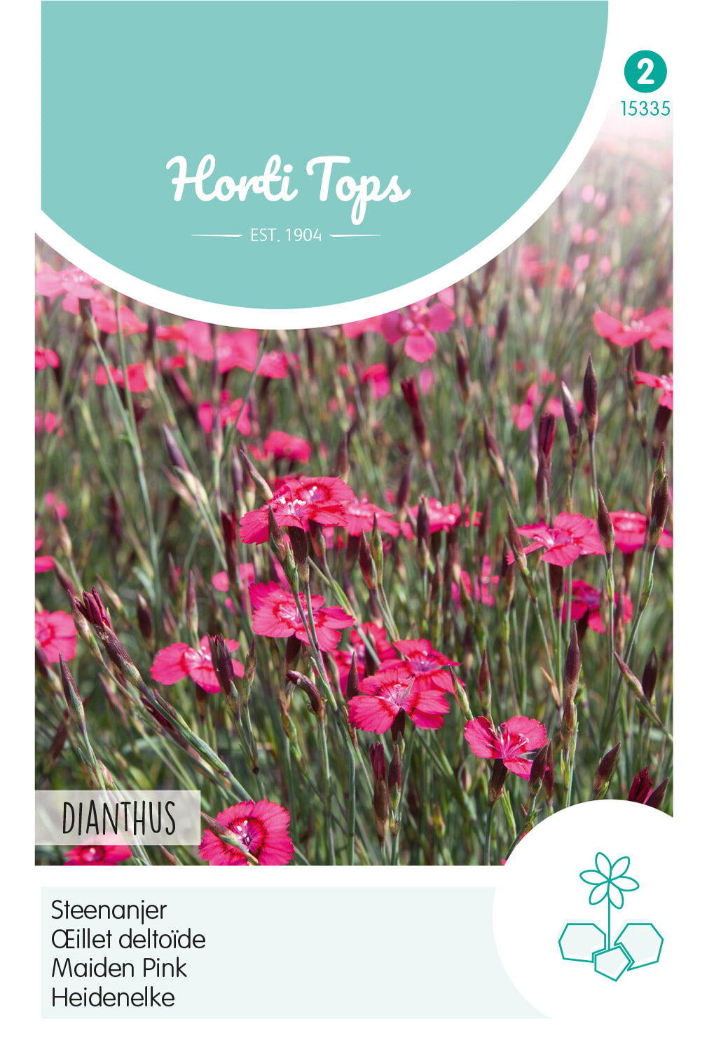 Horti Tops Heidenelke Karminrot
