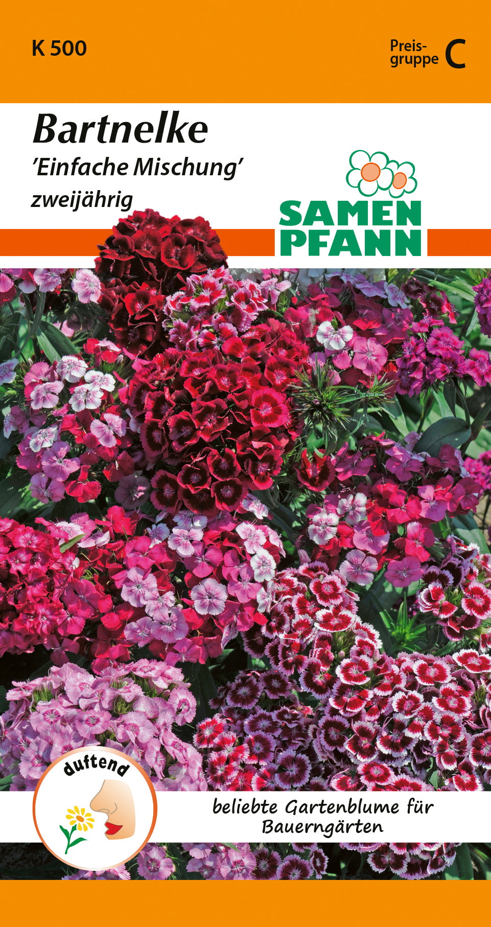 Samen Pfann Bartnelke Einfache Mischung zweijährig