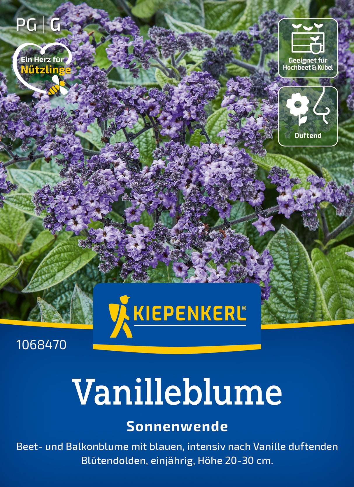 Kiepenkerl Vanilleblumen Sonnenwende