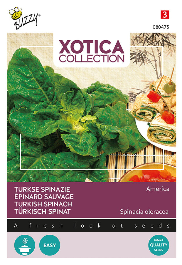 Buzzy Seeds Türkisch Spinat  America