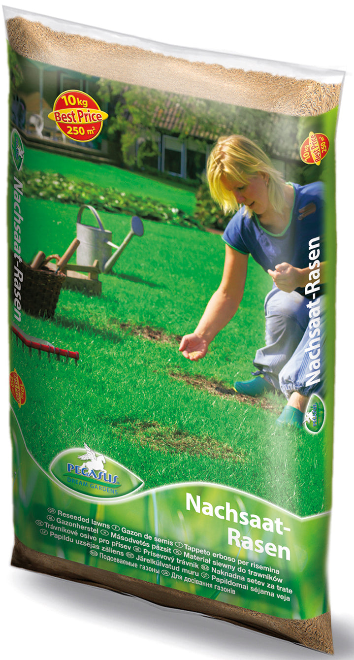 Pegasus Nachsaat-Rasen, 10 kg