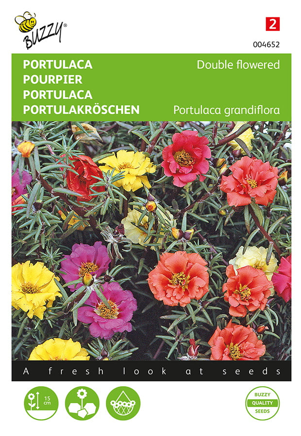 Buzzy Seeds Portulakröschen Gefülte Mischung